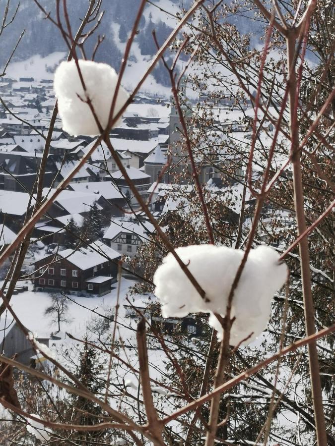 Ferienwohnung An Der Alten Saege 贝曹 外观 照片
