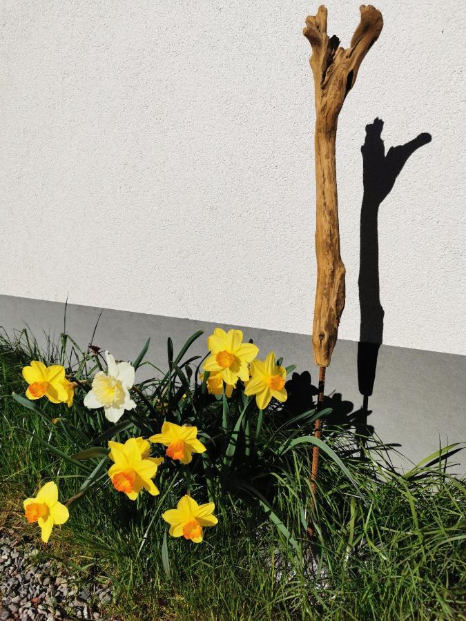 Ferienwohnung An Der Alten Saege 贝曹 外观 照片