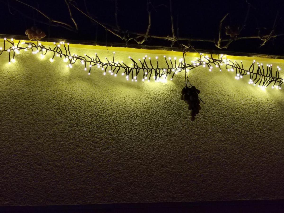 Ferienwohnung An Der Alten Saege 贝曹 外观 照片