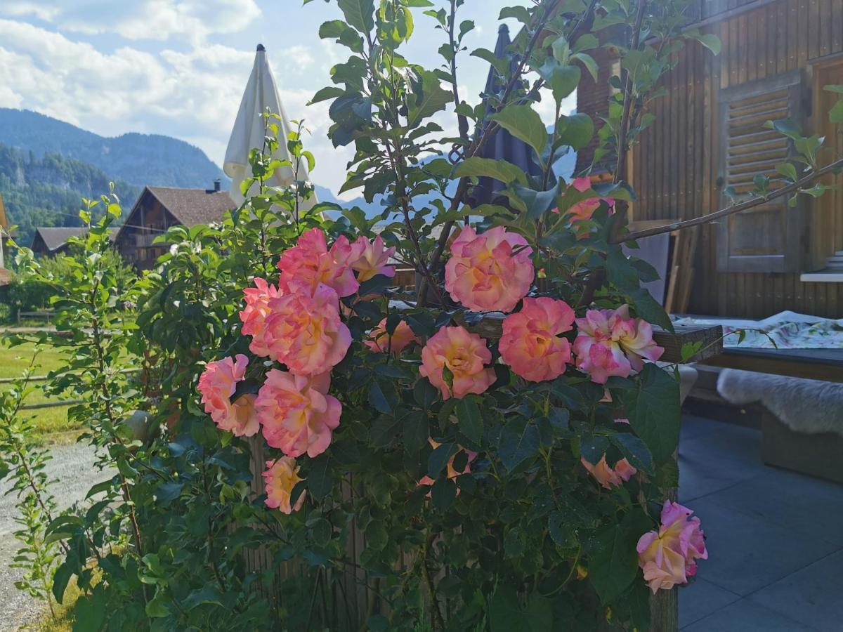 Ferienwohnung An Der Alten Saege 贝曹 外观 照片